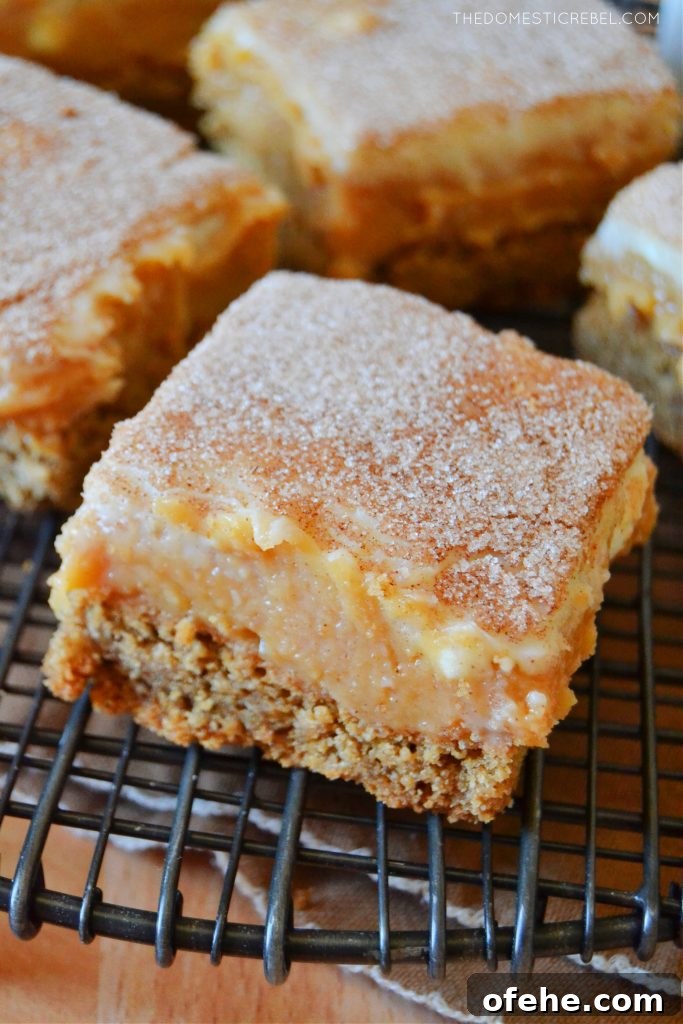 closeup of a caramel snickerdoodle bar cut into a square