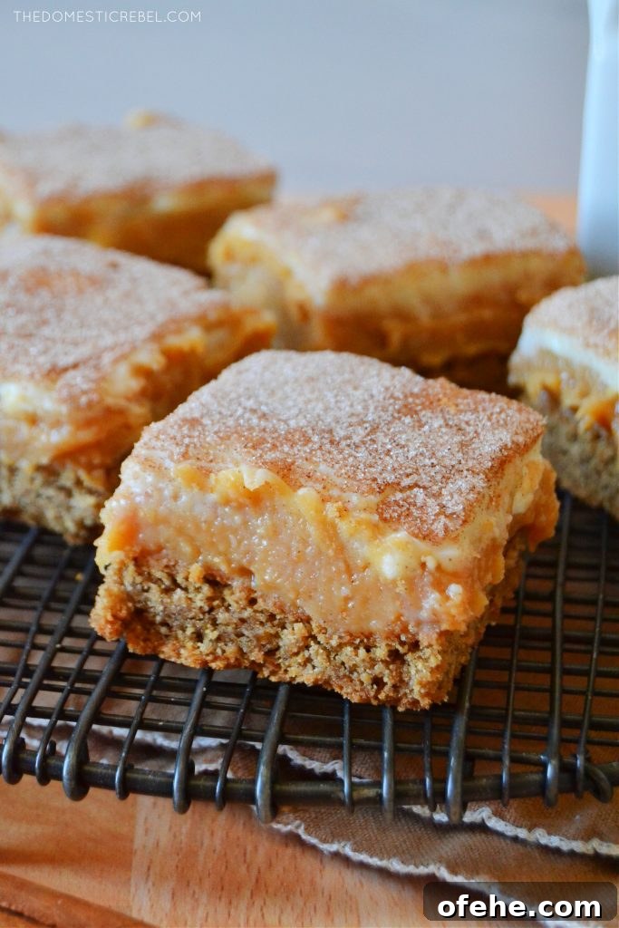 a caramel snickerdoodle bar cut into a square on a black wire rack