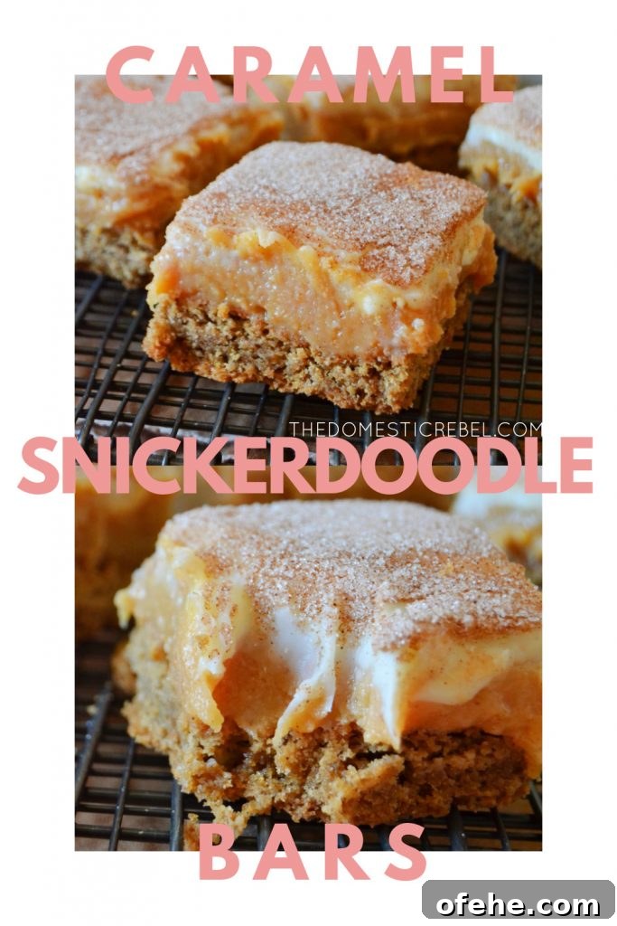 caramel snickerdoodle bars photo collage