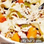 Smoked Chicken Noodle Soup Served in white bowl