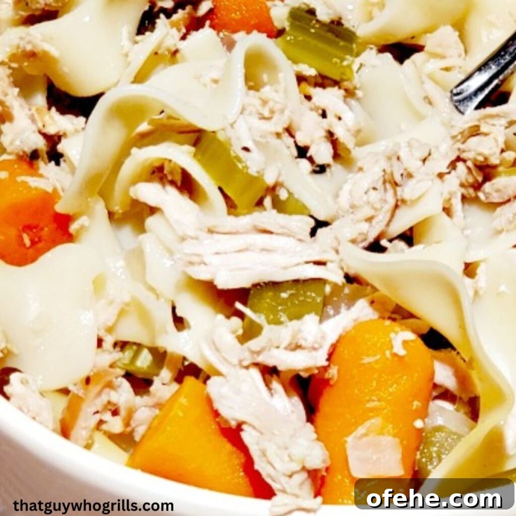 Smoked Chicken Noodle Soup Served in white bowl