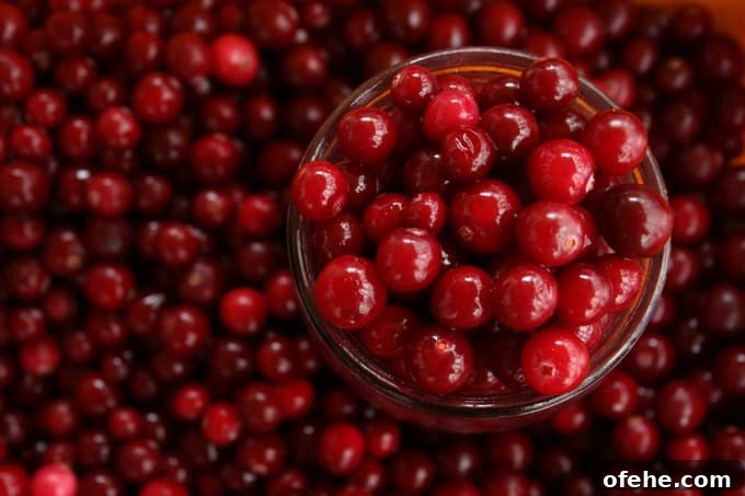 Fresh Whole Cranberries Fresh Whole Cranberries