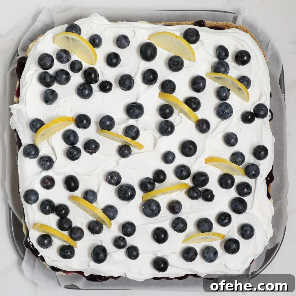 A square blueberry lemon delight topped with thick whipped cream, fresh blueberries, and lemon wedges, displayed on parchment paper in a baking dish.