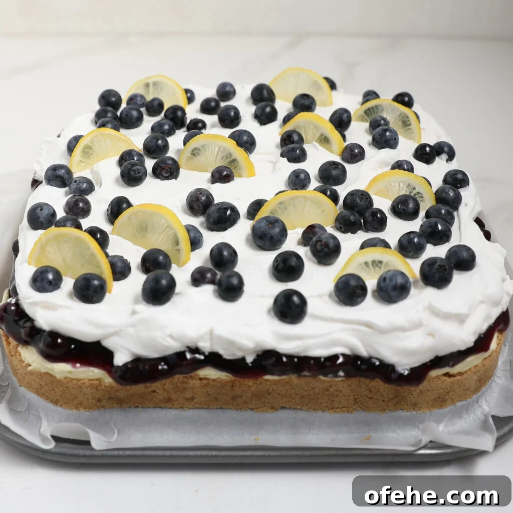 A square blueberry lemon delight, topped with white whipped cream, fresh blueberries, and lemon slices on a baking tray. The cake features a visible layer of blueberry filling between the sponge and cream.