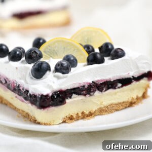 A blueberry lemon delight dessert bar featuring a graham cracker crust, creamy filling, blueberry topping, and whipped cream, garnished with fresh blueberries and lemon slices, served on a white plate.