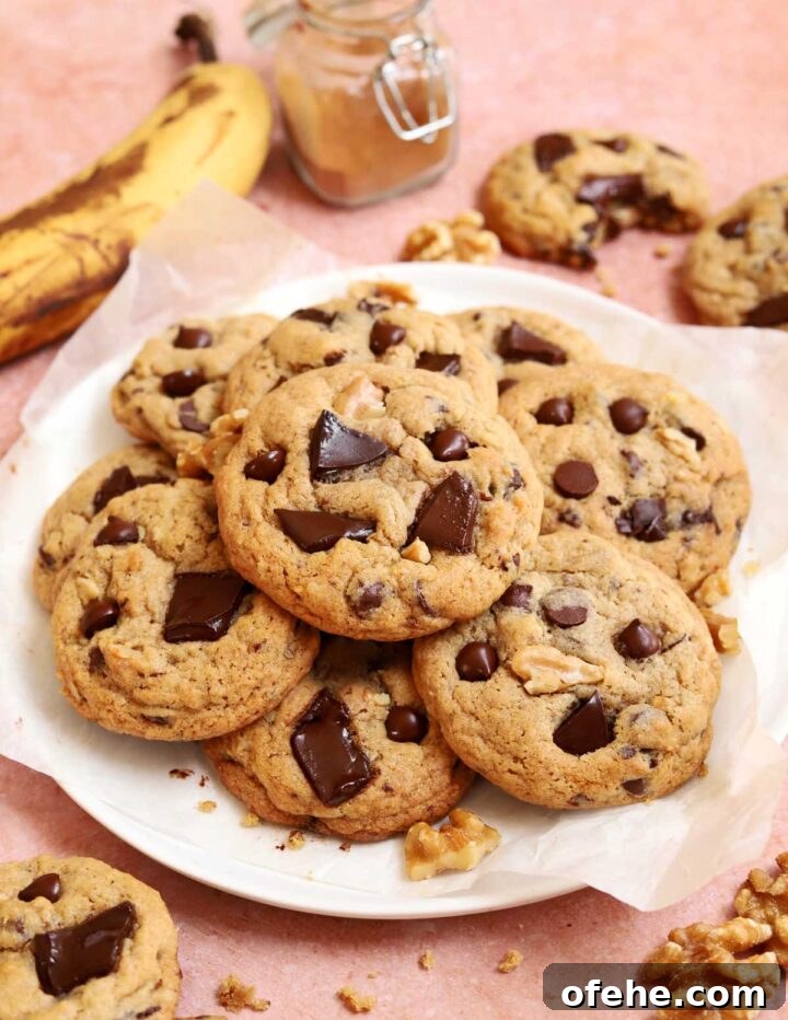 Chocolate Chip Banana Bread Cookies Recipe — Soft & Chewy Treats 2 chocolate chip banana bread cookies on a plate