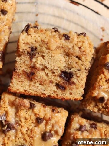 chocolate chip banana bread coffee cake