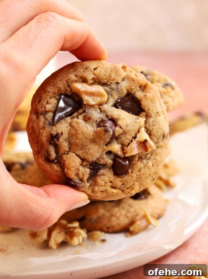 Chocolate Chip Banana Bread Cookies Recipe — Soft & Chewy Treats 5 chocolate chip banana bread cookies