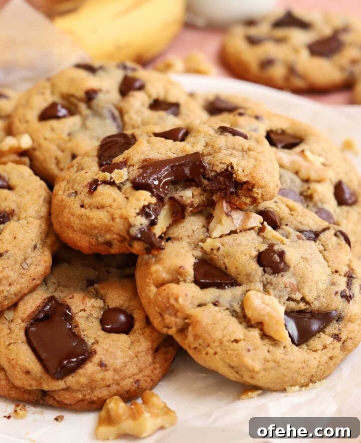 Chocolate Chip Banana Bread Cookies Recipe — Soft & Chewy Treats 7 chocolate chip banana bread cookies with bite