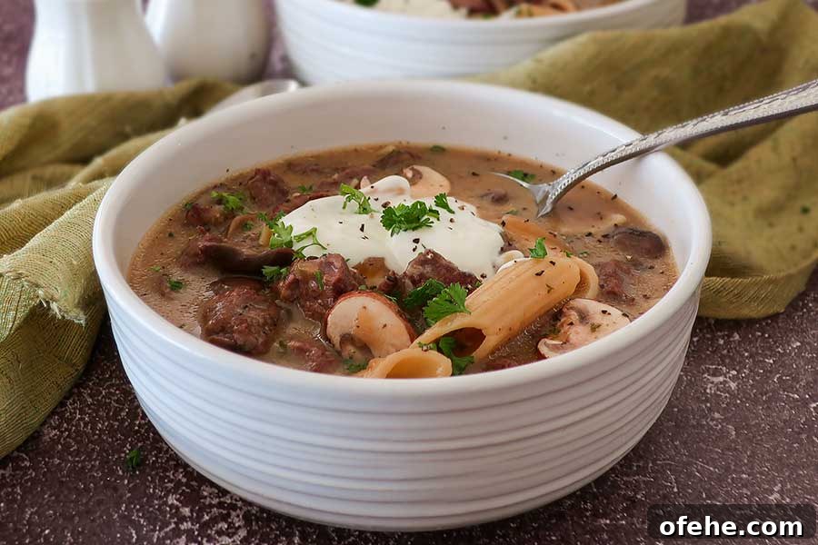 35+ Gluten-Free September Recipes for Seasonal Eating 15 bowl of beef stroganoff soup topped with sour cream