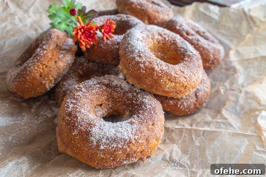 35+ Gluten-Free September Recipes for Seasonal Eating 32 close up of 4 apple cider donuts, gluten free