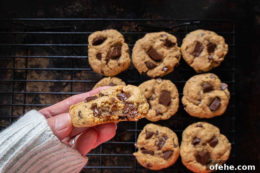 35+ Gluten-Free September Recipes for Seasonal Eating 36 gluten-free chocolate chip cookie in a hand
