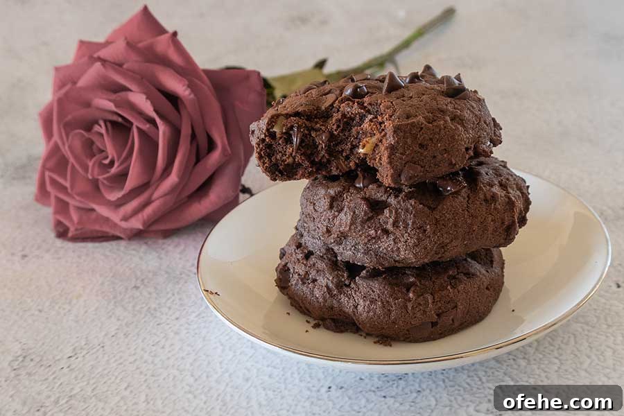 35+ Gluten-Free September Recipes for Seasonal Eating 37 fudgy brownie cookies on a plate, gluten-free