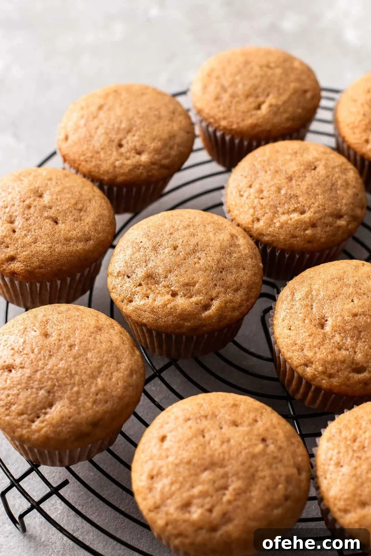 Pecan Pie Cupcakes Recipe — Classic Southern Dessert Cupcakes 11 baked pecan pie cupcakes on wire rack