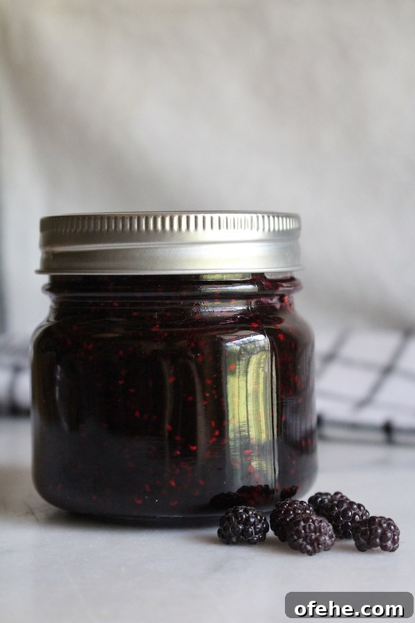 Homemade Black Raspberry Jam ~ This simple recipe for black raspberry jam is made without pectin. All you need is a few cups of black raspberries, sugar and a squeeze of lemon juice. #canning #foodpreservation #preservingfood #homestead #selfreliant #selfsufficiency #homesteading #blackraspberry #raspberryjam