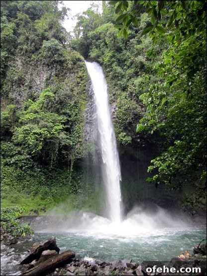 Honeymoon in Costa Rica: Hanging Bridges, Volcano Hikes & Hot Springs 16 IMG_0024