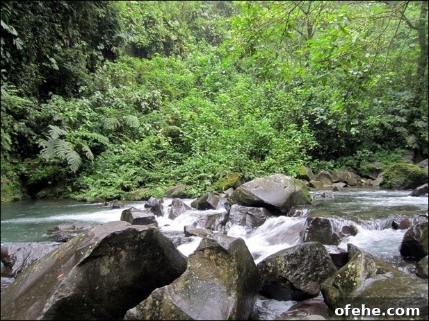 Honeymoon in Costa Rica: Hanging Bridges, Volcano Hikes & Hot Springs 19 IMG_0033