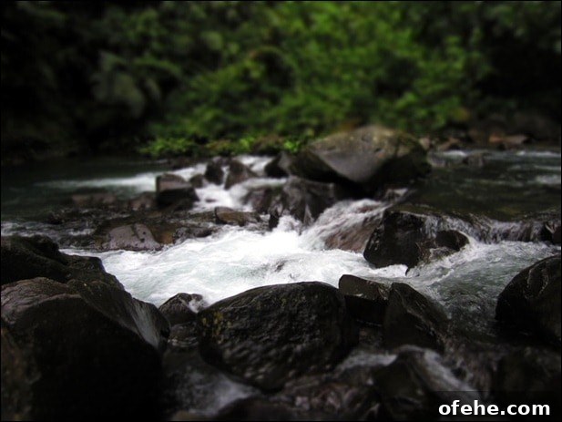 Honeymoon in Costa Rica: Hanging Bridges, Volcano Hikes & Hot Springs 20 IMG_0040