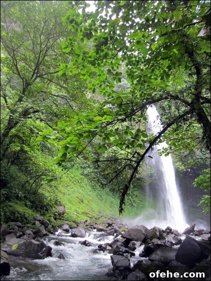 Honeymoon in Costa Rica: Hanging Bridges, Volcano Hikes & Hot Springs 21 IMG_0048