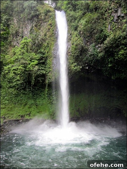 Honeymoon in Costa Rica: Hanging Bridges, Volcano Hikes & Hot Springs 22 IMG_0052