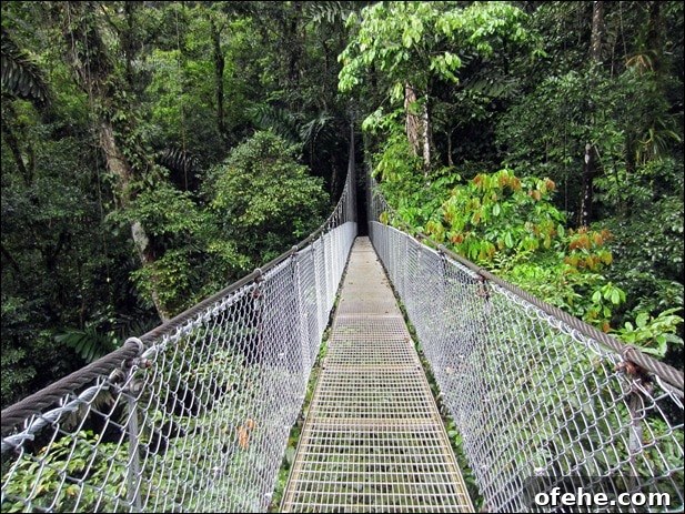 Honeymoon in Costa Rica: Hanging Bridges, Volcano Hikes & Hot Springs 4 IMG_0003