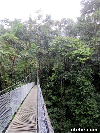 Honeymoon in Costa Rica: Hanging Bridges, Volcano Hikes & Hot Springs 6 IMG_0004