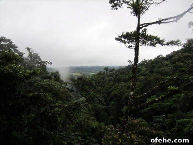 Honeymoon in Costa Rica: Hanging Bridges, Volcano Hikes & Hot Springs 7 IMG_0013
