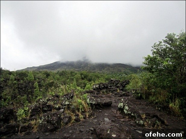 Honeymoon in Costa Rica: Hanging Bridges, Volcano Hikes & Hot Springs 10 IMG_0017