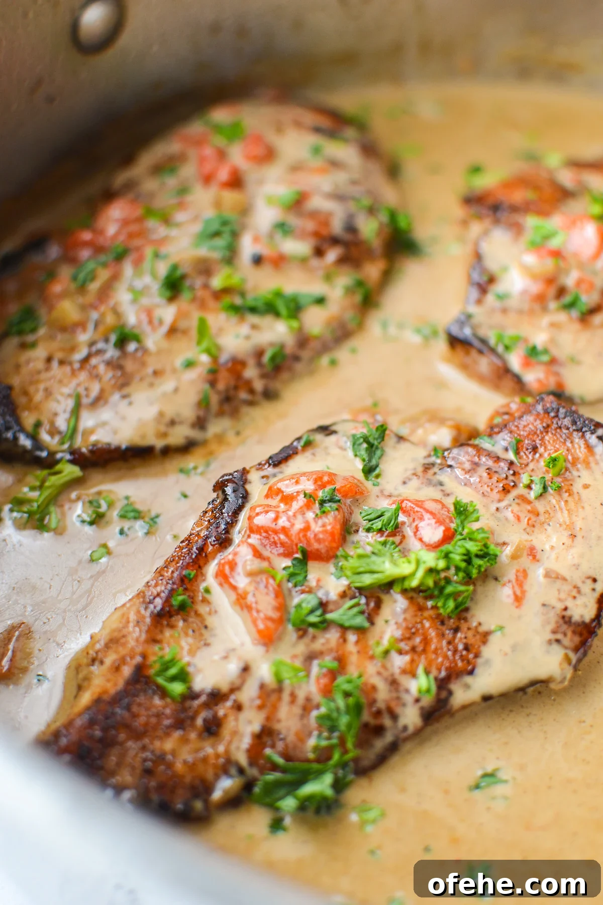 Creamy Roasted Red Pepper Chicken Recipe for Weeknight Dinners 9 A close up of a chicken breast, covered with cream sauce.