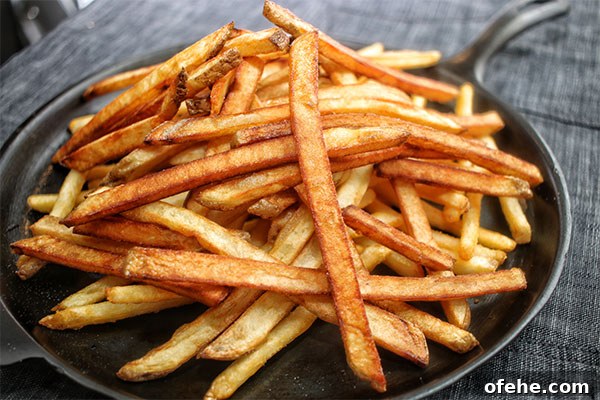 Loaded Fries (Frachos) Recipe: Ultimate Nacho-Style Topping Guide 8 homemade-french-fries-Steak-french-fry-nachos-recipe