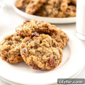 Oatmeal date cookies on white dish.