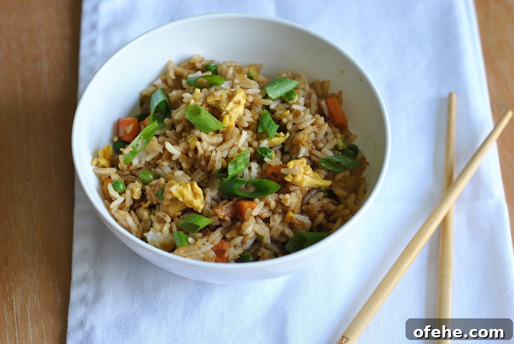 51 Budget-Friendly Family Meals to Save Money Weekly 12 veggie fried rice