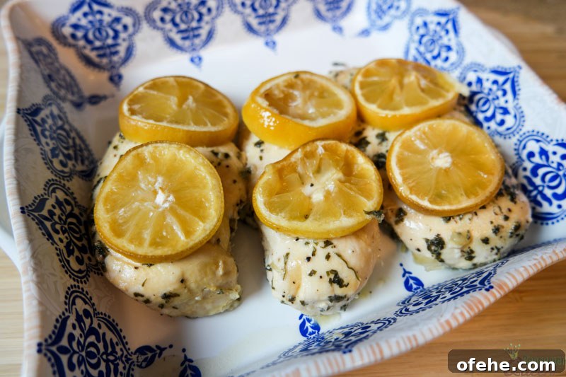 51 Budget-Friendly Family Meals to Save Money Weekly 24 lemon garlic chicken