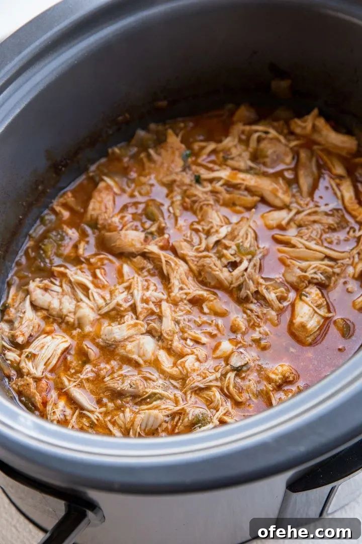 51 Budget-Friendly Family Meals to Save Money Weekly 29 Mexican shredded chicken