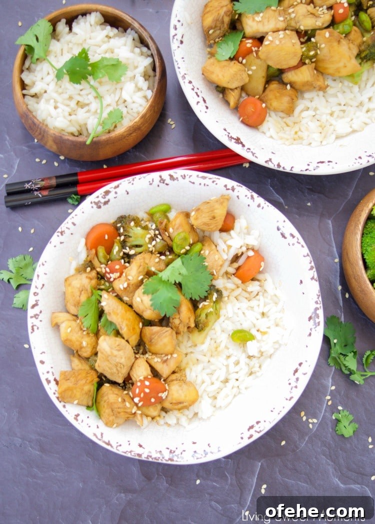 51 Budget-Friendly Family Meals to Save Money Weekly 50 chicken teriyaki rice bowls