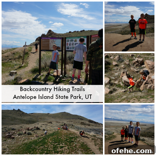 Day Trip to Antelope Island: Explore Great Salt Lake, Utah 5 hike antelope