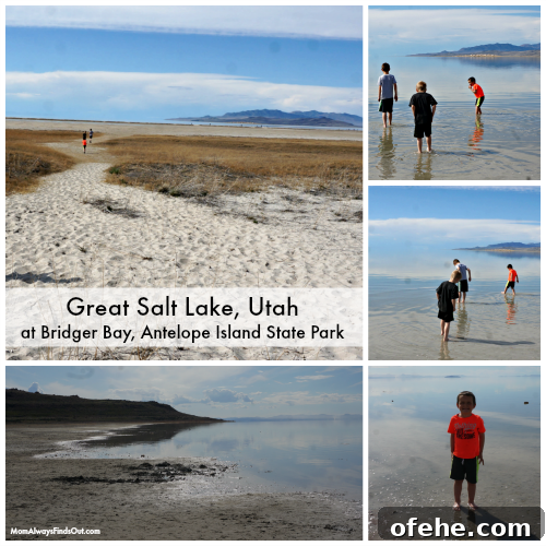 Day Trip to Antelope Island: Explore Great Salt Lake, Utah 6 great salt lake antelope