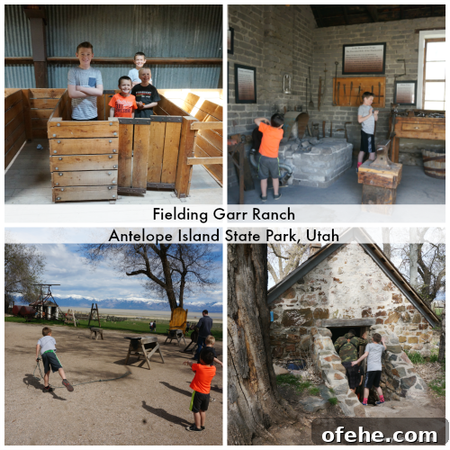 Day Trip to Antelope Island: Explore Great Salt Lake, Utah 7 Fielding Ranch