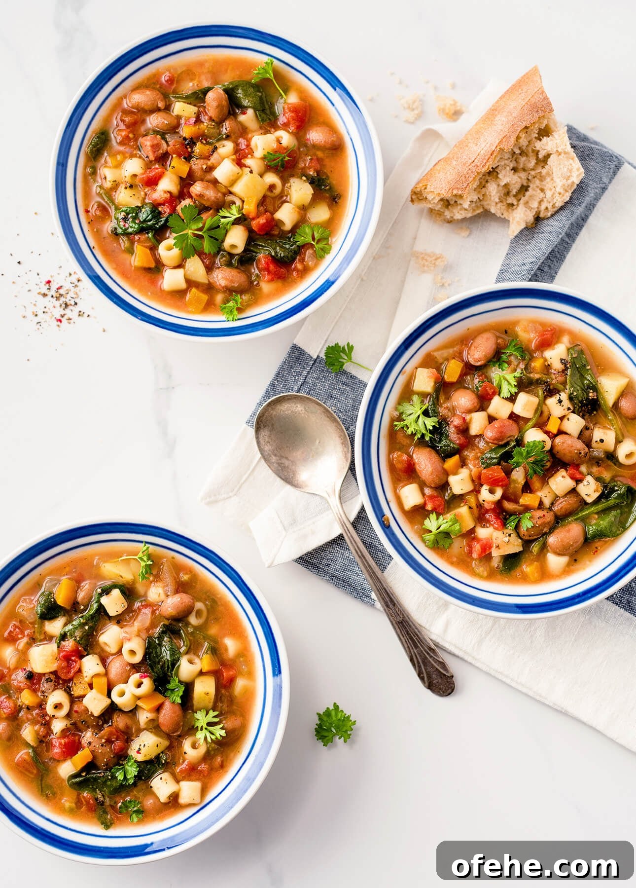 15 Authentic Italian Soups to Warm You Up This Season 11 Hearty Winter Minestrone // FoodNouveau.com