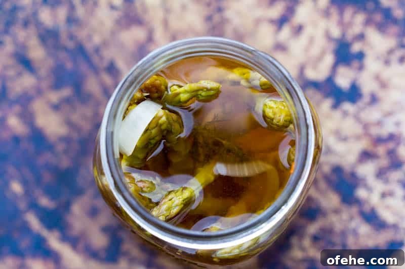 Quick Homemade Pickled Asparagus Recipe for Crisp Flavor 4 Pickled Asparagus