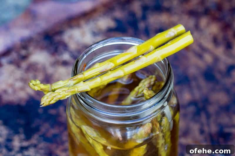 Quick Homemade Pickled Asparagus Recipe for Crisp Flavor 6 Pickled Asparagus