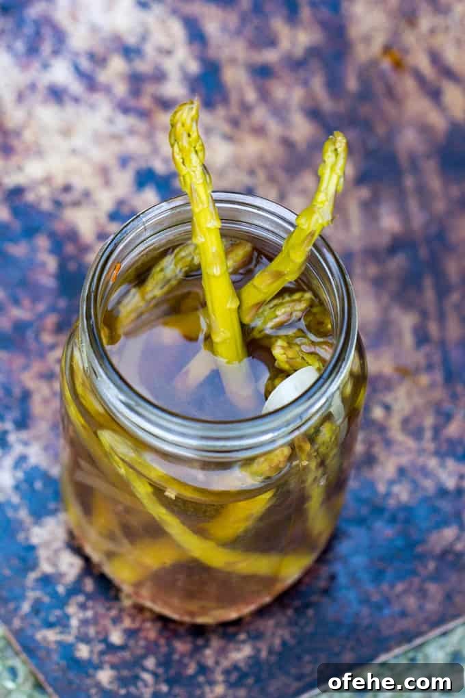 Quick Homemade Pickled Asparagus Recipe for Crisp Flavor 7 Pickled Asparagus