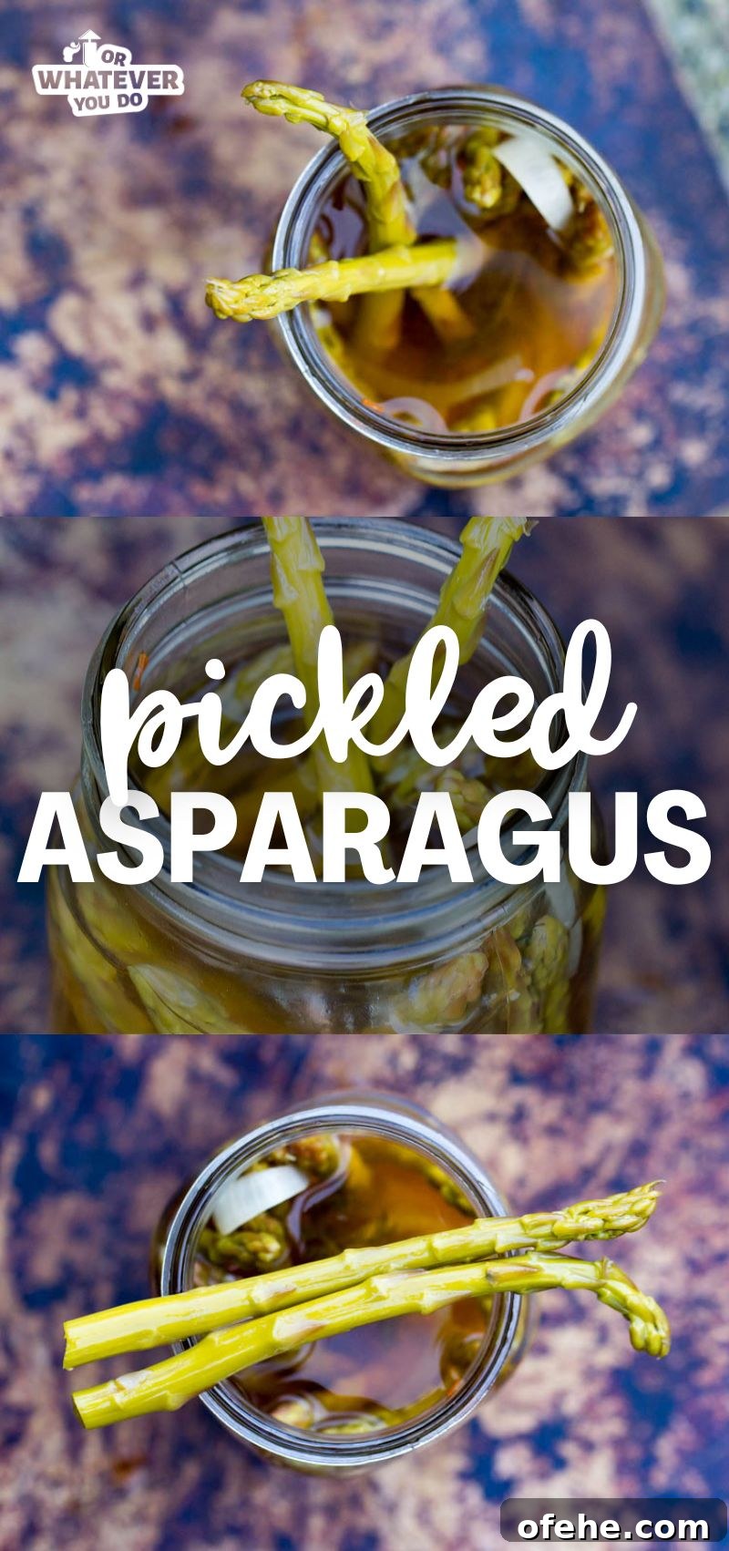 Quick Homemade Pickled Asparagus Recipe for Crisp Flavor 8 Pickled Asparagus