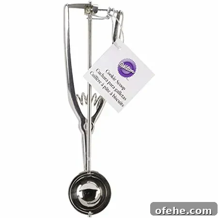 Stainless Steel Cookie Scoop, Small