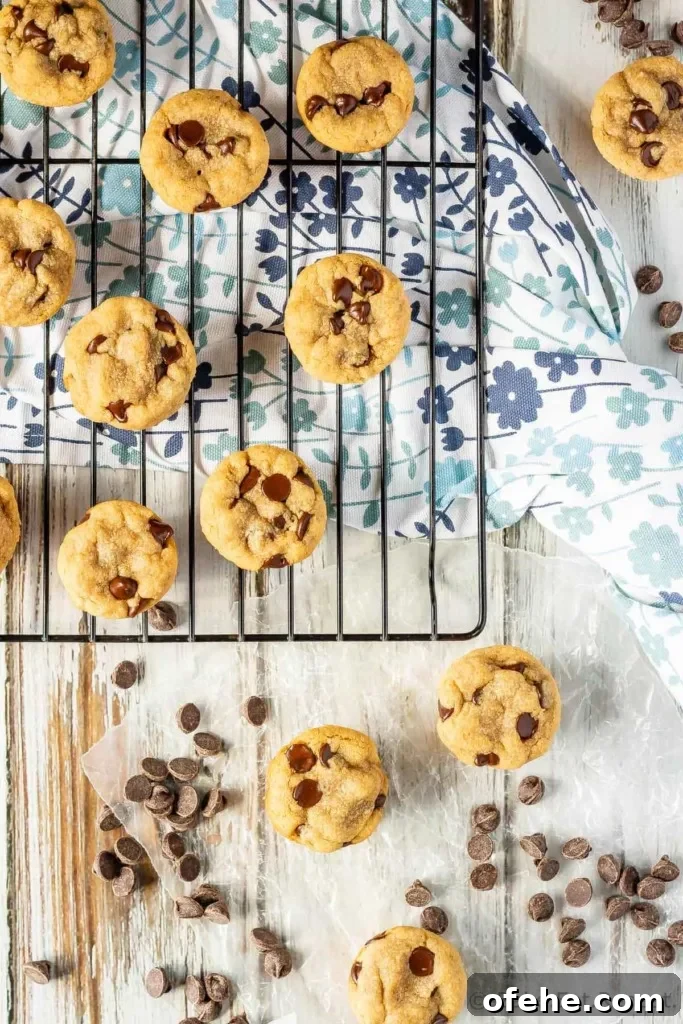 Mini Chocolate Chip Peanut Butter Cookie Cups