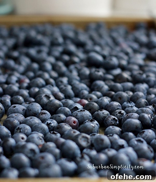 25 Fun Summer Activities for Tweens to Try This Season 4 Blueberries for BlueBerry Cobbler