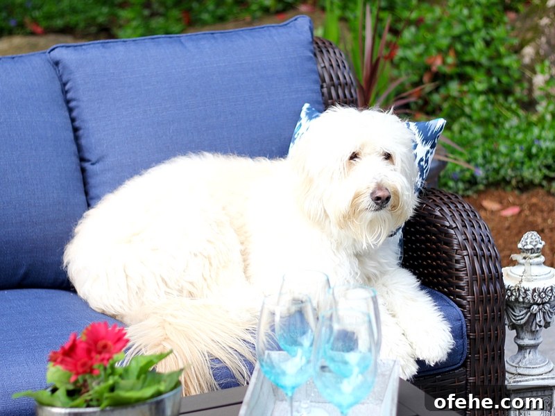 25 Fun Summer Activities for Tweens to Try This Season 5 You can totally do a Backyard Patio Makeover in One Afternoon! Update and refresh for a new outdoor living space.