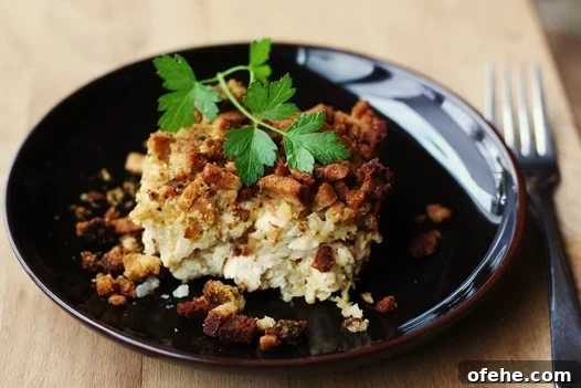 CasseroleDish CasseroleDish