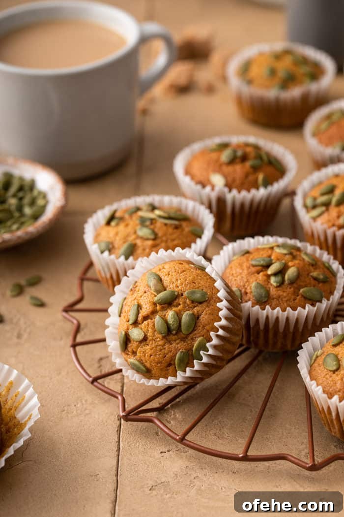 Moist Pumpkin Muffins with Warm Spices Recipe 2 Pumpkin muffins topped with pumpkin seeds on a wire rack