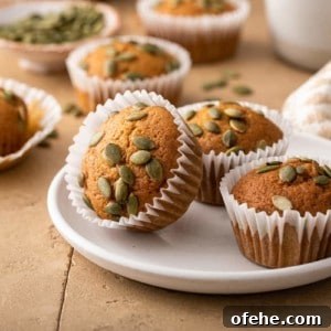 Moist Pumpkin Muffins with Warm Spices Recipe 12 Three pumpkin muffins on a white plate